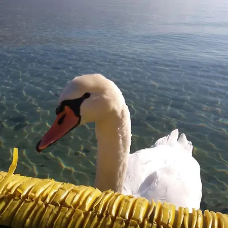 شقة Le Chant Du Thiou : Au Calme Et Au Centre D'annecy آنسي